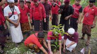 PENANAMAN pohon di Kanto Lampo, Sabtu (28/1/2023). Foto: adi PENANAMAN pohon di Kanto Lampo, Sabtu (28/1/2023). Foto: adi