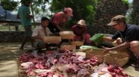 jelang-galungan-distan-siapkan-pengawasan-pemotongan-babi_m_253633