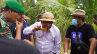 BUPATI TAMBA