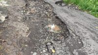 IMG-20230206-WA0056