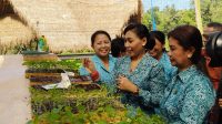 PROGRAM ketahanan pangan dalam satu kesatuan yang disebut Puspa Aman (Pusat Pangan Alami, Mandiri, Asri dan Nyaman). Foto: ist PROGRAM ketahanan pangan dalam satu kesatuan yang disebut Puspa Aman (Pusat Pangan Alami, Mandiri, Asri dan Nyaman). Foto: ist
