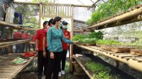 PKK GIANYAR