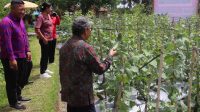 Lomba Sinergitas PKK