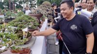 KETUA PPBI Cabang Gianyar, I Gusti Bagus Adi Widhya Utama, memasang bendera hasil penilaian juri. Foto: ist KETUA PPBI Cabang Gianyar, I Gusti Bagus Adi Widhya Utama, memasang bendera hasil penilaian juri. Foto: ist
