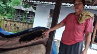KASUR TERBAKAR