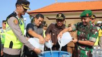 Pemusnahan 427 liter arak oplosan