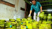 DUA pekan terakhir terjadi kelangkaan gas elpiji 3 kg di Bali, khususnya di Denpasar. Tampak seorang pekerja sedang menata tabung gas elpiji 3 kg yang kini masih langka. Foto: nan DUA pekan terakhir terjadi kelangkaan gas elpiji 3 kg di Bali, khususnya di Denpasar. Tampak seorang pekerja sedang menata tabung gas elpiji 3 kg yang kini masih langka. Foto: nan