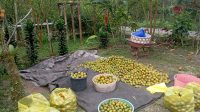IMG-20230720-WA0049