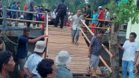 JEMBATAN DARURAT