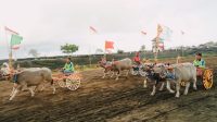 IMG-20230806-WA0087