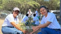 KARYAWAN PLN bersama Pokdarwis dan masyarakat sekitar saat melakukan penanaman pohon di Pantai Oesina, Desa Lifuleo, Kecamatan Kupang Barat, Kabupaten Kupang, Provinsi NTT. Foto: ist KARYAWAN PLN bersama Pokdarwis dan masyarakat sekitar saat melakukan penanaman pohon di Pantai Oesina, Desa Lifuleo, Kecamatan Kupang Barat, Kabupaten Kupang, Provinsi NTT. Foto: ist