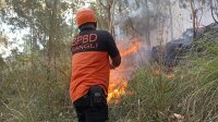 PETUGAS BPBD dan Damkar Bangli saat memadamkan kebakaran hutan dan lahan (karhutla) di Bangli, khususnya di wilayah Kecamatan Kintamani. Sayang, dalam penanganan karhutla, petugas Pemadam Kebakaran (Damkar) Bangli terbentur kendala peralatan yang belum memadai akibat medan berat, dan minimnya tempat penampungan air. Foto: ist PETUGAS BPBD dan Damkar Bangli saat memadamkan kebakaran hutan dan lahan (karhutla) di Bangli, khususnya di wilayah Kecamatan Kintamani. Sayang, dalam penanganan karhutla, petugas Pemadam Kebakaran (Damkar) Bangli terbentur kendala peralatan yang belum memadai akibat medan berat, dan minimnya tempat penampungan air. Foto: ist
