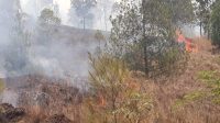 HUTAN di Kawasan Taman Wisata Alam (TWA) Gunung Batur, Bukit Payang, dekat areal Pura Pasar Agung, Desa Batur, Kintamani kembali terbakar pada Minggu (1/10/2023) sekitar pukul 11.20 Wita. Foto: ist HUTAN di Kawasan Taman Wisata Alam (TWA) Gunung Batur, Bukit Payang, dekat areal Pura Pasar Agung, Desa Batur, Kintamani kembali terbakar pada Minggu (1/10/2023) sekitar pukul 11.20 Wita. Foto: ist