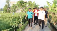 WALI Kota Denpasar, IGN. Jaya Negara, mengikuti jalan sehat serangkain peringatan HUT ke- 25 BKS LPD Kota Denpasar di Ekowisata Subak Sembung Kelurahan Peguyangan, Minggu (15/10/2023). Foto: ist WALI Kota Denpasar, IGN. Jaya Negara, mengikuti jalan sehat serangkain peringatan HUT ke- 25 BKS LPD Kota Denpasar di Ekowisata Subak Sembung Kelurahan Peguyangan, Minggu (15/10/2023). Foto: ist