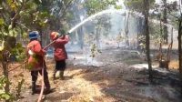SELAMA 10 bulan terakhir sejak Januari hingga saat ini, kebakaran lahan produktif milik warga di Karangasem mencapai 200 hektar. Foto: ist SELAMA 10 bulan terakhir sejak Januari hingga saat ini, kebakaran lahan produktif milik warga di Karangasem mencapai 200 hektar. Foto: ist