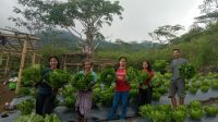 IMG-20231107-WA0039