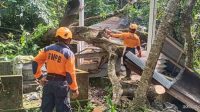 BENCANA pohon tumbang di Banjar Dinas Ketug, Desa Antiga, Kecamatan Manggis, Rabu (6/12/2023) menimpa sebuah palinggih subak dan garase mobil milik warga. Foto: ist BENCANA pohon tumbang di Banjar Dinas Ketug, Desa Antiga, Kecamatan Manggis, Rabu (6/12/2023) menimpa sebuah palinggih subak dan garase mobil milik warga. Foto: ist