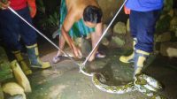 IMG-20240108-WA0038