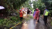 CUACA ekstrem yang terjadi dalam beberapa hari terakhir mengakibatkan berbagai bencana alam di Buleleng. Selain pohon tumbang, bencana rumah rusak akibat angin kencang, tanah longsor, senderan jebol, banjir, hingga gelombang pasang. Foto: ist CUACA ekstrem yang terjadi dalam beberapa hari terakhir mengakibatkan berbagai bencana alam di Buleleng. Selain pohon tumbang, bencana rumah rusak akibat angin kencang, tanah longsor, senderan jebol, banjir, hingga gelombang pasang. Foto: ist