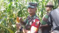 IMG-20240305-WA0049