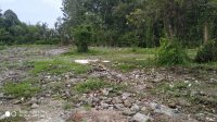 IMG-20240317-WA0054