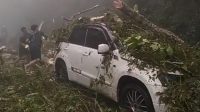 KONDISI Mobil Ketut Catur, seorang Guru SD Negeri 2 Desa Wanagiri, Kecamatan Sukasda, Buleleng yang tertimpa pohon tumbang, Rabu (13/3/2024). Foto: ist KONDISI Mobil Ketut Catur, seorang Guru SD Negeri 2 Desa Wanagiri, Kecamatan Sukasda, Buleleng yang tertimpa pohon tumbang, Rabu (13/3/2024). Foto: ist
