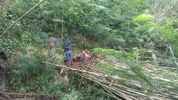 PETUGAS teknis lapangan Perumda TAB Tabanan, Kamis (14/3/2024), dengan sigap dan cepat menangani kebocoran pipa transmisi 6” di MA Tasakan Perean Barat, Kecamatan Baturiti. Foto: ist PETUGAS teknis lapangan Perumda TAB Tabanan, Kamis (14/3/2024), dengan sigap dan cepat menangani kebocoran pipa transmisi 6” di MA Tasakan Perean Barat, Kecamatan Baturiti. Foto: ist