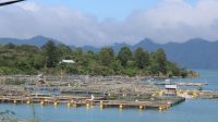IMG-20240428-WA0056