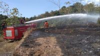 PETUGAS BPBD Kabupaten Buleleng melakukan penanganan kebakaran lahan di Buleleng. Foto: ist PETUGAS BPBD Kabupaten Buleleng melakukan penanganan kebakaran lahan di Buleleng. Foto: ist