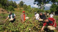 IMG-20240603-WA0061