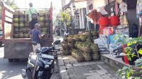 IMG-20240604-WA0032