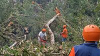 IMG-20240609-WA0045