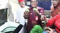 SALAH satu produk olahan dari hasil pertanian daun pandan di Desa Abiantuwung, yang baru-baru ini dikunjungi Bupati Tabanan, I Komang Gede Sanjaya, beserta jajaran Pemkab Tabanan. Foto: ist SALAH satu produk olahan dari hasil pertanian daun pandan di Desa Abiantuwung, yang baru-baru ini dikunjungi Bupati Tabanan, I Komang Gede Sanjaya, beserta jajaran Pemkab Tabanan. Foto: ist
