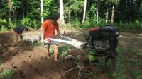 CURAH hujan pada musim ini memberi semangat terhadap para penggarap ladang yang tinggal di daerah perdusunan di Karangasem. Bulan Juli merupakan musim yang umum di kawasan perladangan wilayah Dusun Sampih, Desa Abang, Kecamatan Abang, Karangasem melaksanakan kegiatan cocok tanam di ladang. Foto: nad CURAH hujan pada musim ini memberi semangat terhadap para penggarap ladang yang tinggal di daerah perdusunan di Karangasem. Bulan Juli merupakan musim yang umum di kawasan perladangan wilayah Dusun Sampih, Desa Abang, Kecamatan Abang, Karangasem melaksanakan kegiatan cocok tanam di ladang. Foto: nad