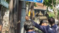 PETUGAS Satpol PP Kota Denpasar saat menertibkan salah satu papan promosi yang melanggar Perda Ketertiban Umum. Foto: ist PETUGAS Satpol PP Kota Denpasar saat menertibkan salah satu papan promosi yang melanggar Perda Ketertiban Umum. Foto: ist