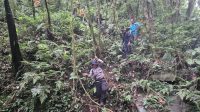 SUASANA hutan rimba di Gunung Batukaru, ketika tim gabungan melakukan upaya pencarian terhadap pendaki warga negara Prancis yang hilang, sekitar sebulan yang lalu. Foto: ist SUASANA hutan rimba di Gunung Batukaru, ketika tim gabungan melakukan upaya pencarian terhadap pendaki warga negara Prancis yang hilang, sekitar sebulan yang lalu. Foto: ist
