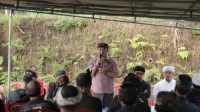 IMG-20241119-WA0101