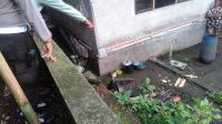 IMG-20241120-WA0096