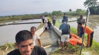 EVAKUASI mayat seorang perempuan lansia yang ditemukan mengapung di permukaan air saluran irigasi wilayah Subak Belumbang, Desa Belumbang, Kerambitan, Tabanan, Rabu (20/11/2024). Foto: ist EVAKUASI mayat seorang perempuan lansia yang ditemukan mengapung di permukaan air saluran irigasi wilayah Subak Belumbang, Desa Belumbang, Kerambitan, Tabanan, Rabu (20/11/2024). Foto: ist