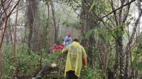 PENCARIAN dua pendaki Putu Diki Adi Warta (27) asal Badung dan Ridho Adi Yudistira (22) asal Tabanan, yang hilang di Gunung Agung, Karangasem, belum membuahkan hasil hingga Kamis (26/12/2024) malam. Tim SAR terkendala cuaca ekstrem. Foto: ist PENCARIAN dua pendaki Putu Diki Adi Warta (27) asal Badung dan Ridho Adi Yudistira (22) asal Tabanan, yang hilang di Gunung Agung, Karangasem, belum membuahkan hasil hingga Kamis (26/12/2024) malam. Tim SAR terkendala cuaca ekstrem. Foto: ist