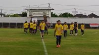 panjer vs pesta