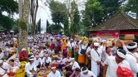 RIBUAN pemedek dari berbagai daerah di Bali memadati Pura Dalem Puri di Desa Besakih, Kecamatan Rendang, Karangasem, Rabu (29/1/2025). Foto: ist RIBUAN pemedek dari berbagai daerah di Bali memadati Pura Dalem Puri di Desa Besakih, Kecamatan Rendang, Karangasem, Rabu (29/1/2025). Foto: ist