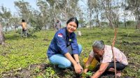 JAJARAN PLN UIP Nusra bersama warga saat menanam bibit pohon di kawasan hutan di Kabupaten Timor Tengah Selatan (TTS). Foto: ist JAJARAN PLN UIP Nusra bersama warga saat menanam bibit pohon di kawasan hutan di Kabupaten Timor Tengah Selatan (TTS). Foto: ist