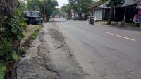 IMG-20250218-WA0001