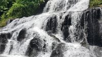 IMG-20250304-WA0096