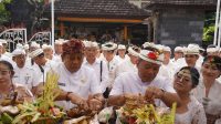 IMG-20250304-WA0100