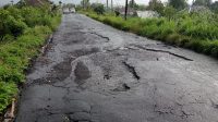 MENDEKATI pelaksanaan Karya Ngusaba Kadasa di Pura Ulun Danu Batur, Desa Batur, Kintamani, sejumlah ruas jalan yang galib jadi jalur alternatif pamedek kondisinya rusak berat dan compang-camping. Foto: ist MENDEKATI pelaksanaan Karya Ngusaba Kadasa di Pura Ulun Danu Batur, Desa Batur, Kintamani, sejumlah ruas jalan yang galib jadi jalur alternatif pamedek kondisinya rusak berat dan compang-camping. Foto: ist