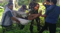 JAJARAN Polsek Blahbatuh menolong seorang pria yang ditemukan dalam keadaan terluka dan lemas di bawah jembatan Jalan Bypass Ida Bagus Mantra, Desa Saba, Kecamatan Blahbatuh, Gianyar, Selasa (29/4/2025). Foto: ist JAJARAN Polsek Blahbatuh menolong seorang pria yang ditemukan dalam keadaan terluka dan lemas di bawah jembatan Jalan Bypass Ida Bagus Mantra, Desa Saba, Kecamatan Blahbatuh, Gianyar, Selasa (29/4/2025). Foto: ist