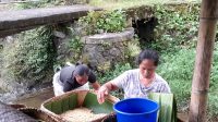 PELAKU usaha tauge di Banjar Tegal, Kelurahan Bebalang, Bangli pusing gegara harga bahan baku kedelai dan kacang hijau melonjak. Foto: ist PELAKU usaha tauge di Banjar Tegal, Kelurahan Bebalang, Bangli pusing gegara harga bahan baku kedelai dan kacang hijau melonjak. Foto: ist