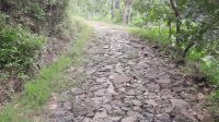 IMG-20250608-WA0036